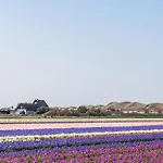 Luttikduin Nr 21 - Aan Zee