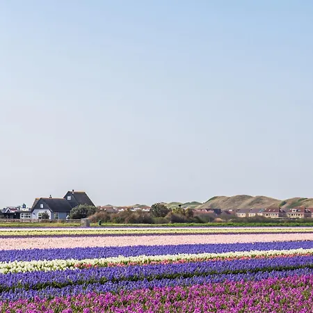 Luttikduin Nr 21 - Aan Zee